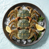 Fresh Live Chinese Mitten Crab