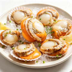 Frozen Scallop Meat With Coral