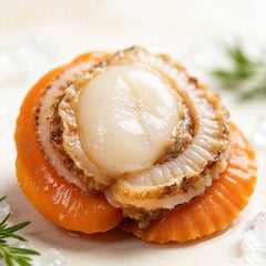 Frozen Scallop Meat With Coral