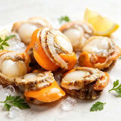 Frozen Scallop Meat With Coral