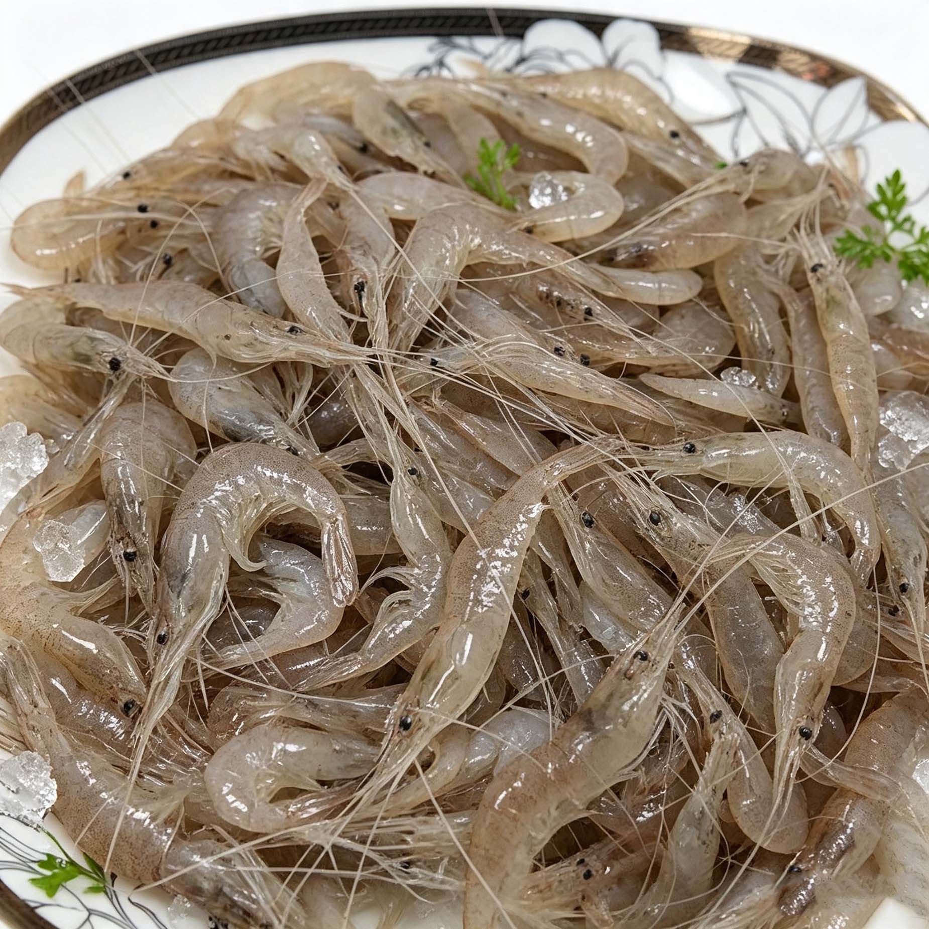 Frozen Small Fresh River Shrimp