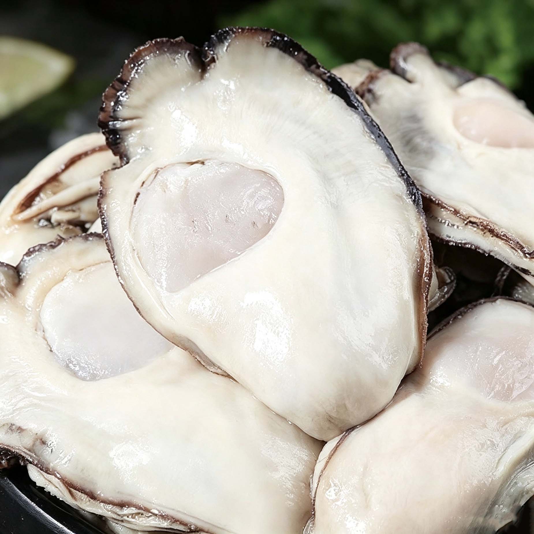 Fresh Shucked Oyster Meat