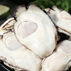 Fresh Shucked Oyster Meat