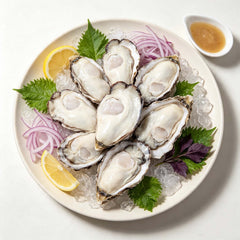 Fresh Shucked Oyster Meat